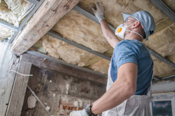 Best Blown-in Insulation in Chelsea, OK